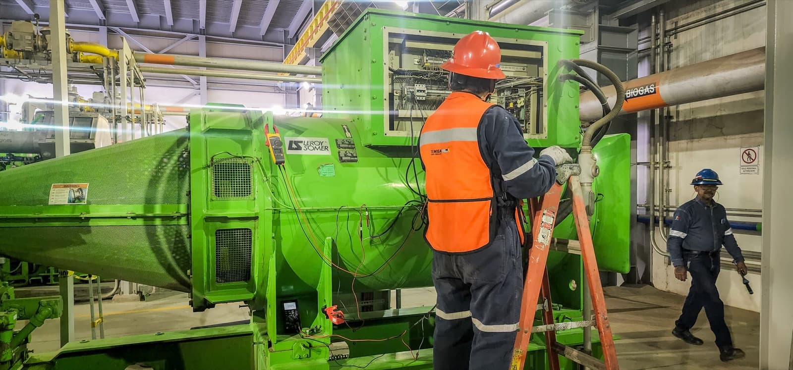 Stamford / Leroy-Somer generador — TEMISA Power Gen — independent OEM service Mexico