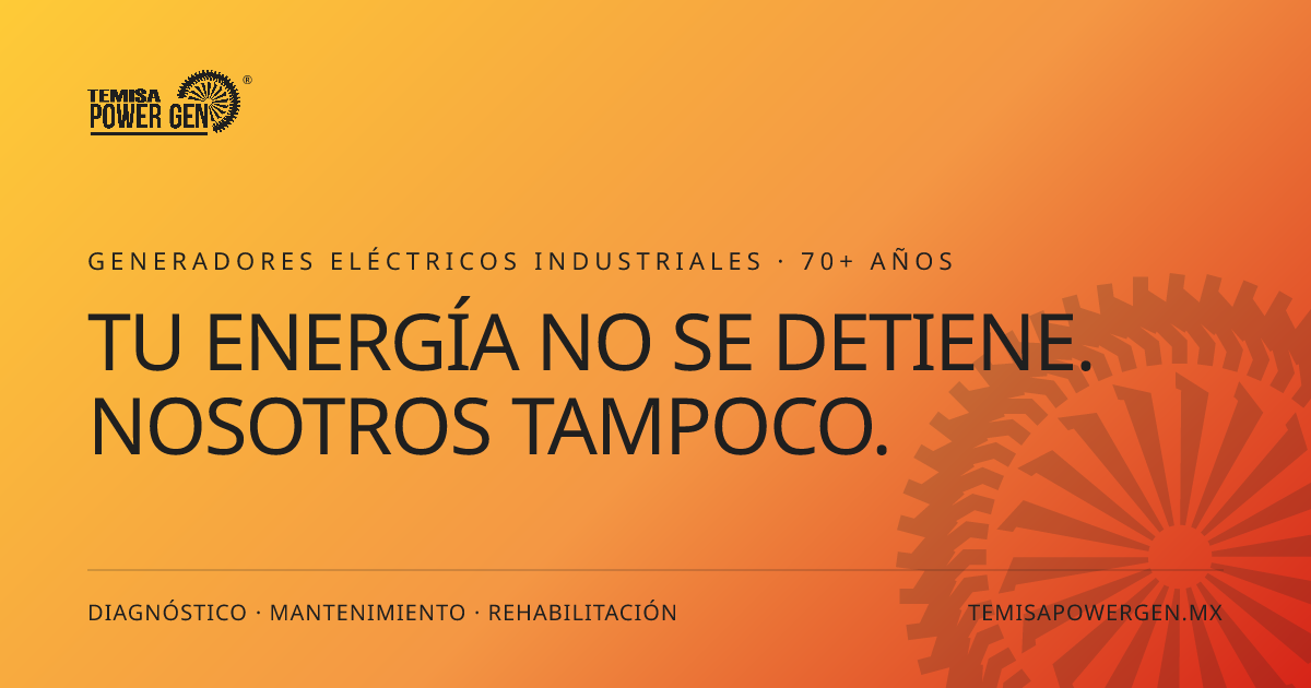 Términos y Condiciones de Uso | TEMISA Power Gen